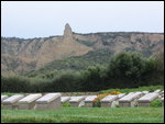 Gallýpolý Landýng Ground wýth Graves