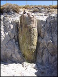 Sigri - Petrified Tree