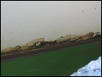 Porto Lagos Oil Slick