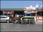 Ayvalik Veg Delivery