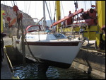Lakki - Tiercel Hauled