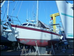 Tiercels Winter Berth