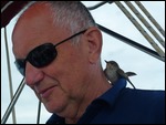 Tim's New Bird