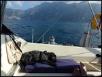 Marley admiring the Amalfi Coast