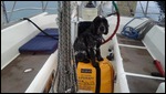 Marley does his Lifeboat Drill