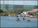 Fishing in the Channel to Port Napoleon