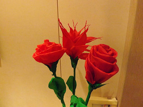 Roisin's magical flowers