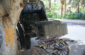 Your carriage awaits (for the past 100 years?)