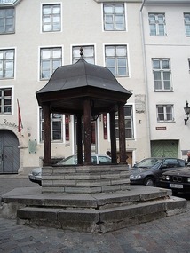 Cat's Well - Tallinn
