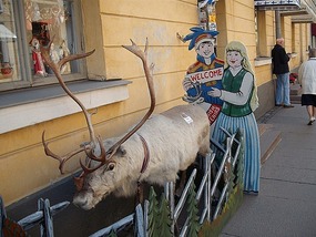 Stuffed moose with cut out Lapps