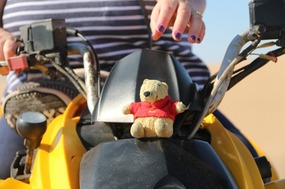 Pooh gets in on the act!!