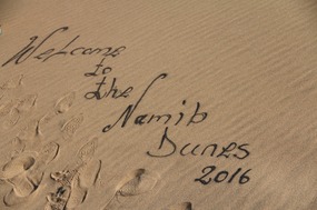 Welcome to the Namib Dunes 2016!