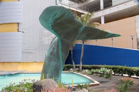 A fishy tale in Las Palmas