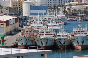 Marina for rusty buckets in Las Palmas