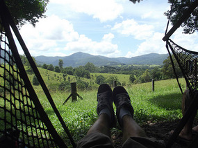 View from the hammock at Nimbin Hostel