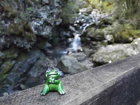 my travel frog at waterfall back from temple basin
