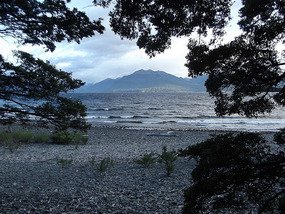 Morning view at Henry Creek