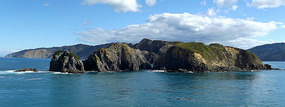 ferry to Wellington