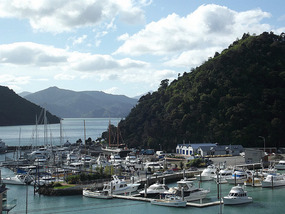 Picton marina