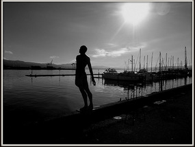Wellington marina
