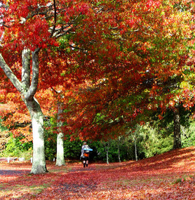 New Zealand heading into Autumn