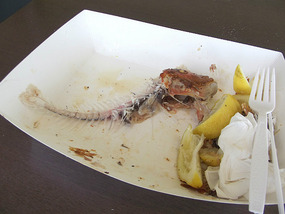 Parrot fish from Coffs Harbour fish shop (after)