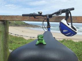 My frog friend - Park Beach -bike ride