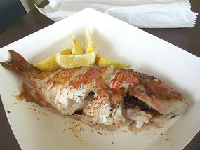 Parrot fish from Coffs Harbour fish shop (before)