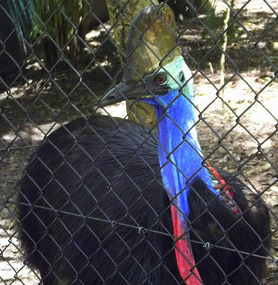 Australia Zoo