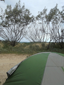 My tent - beach behind trees