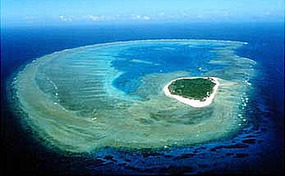 lady musgrave island - pic from internet