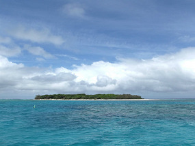 lady musgrave island