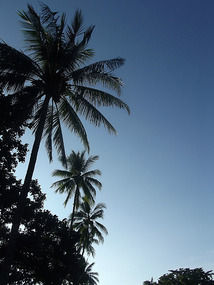 townsville - The Strand