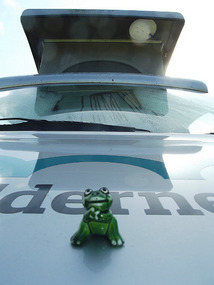 Frog on campervan