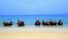 Phi Phi island tour