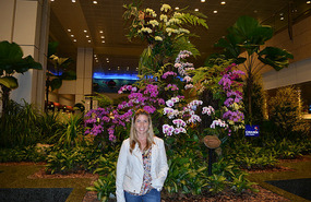 Flores