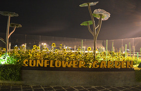 Jardin de Girasoles