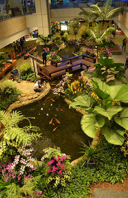 Jardin de Orquideas