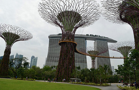 Mas super trees