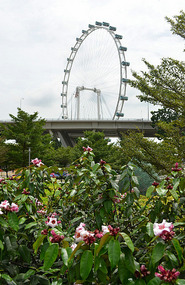 Singapore Flyer