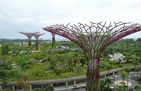 Super trees!