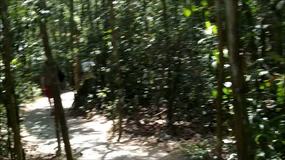 Video acercandonos al poligono de tiro