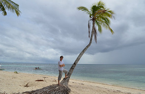 Palmera loca