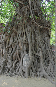 Ruinas de Wat Maha Tat