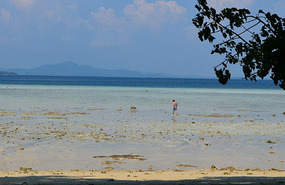 Bajamar