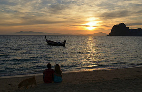 Hasta los perros querían ver el amanecer