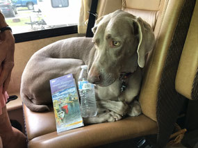 Maggie prepares to navigate