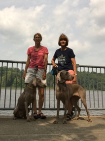 On the Hudson River