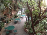 Greenery In the heart of Town