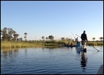 Mokoro on the Okavango Delta